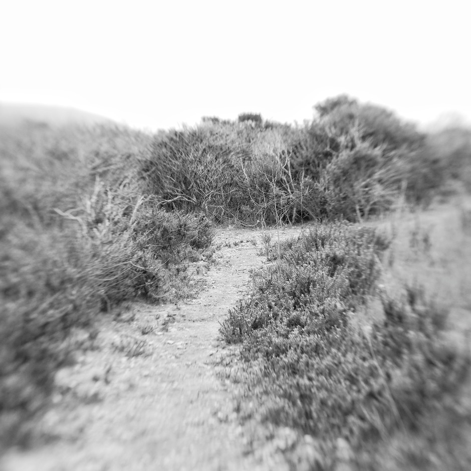 IMG_1351